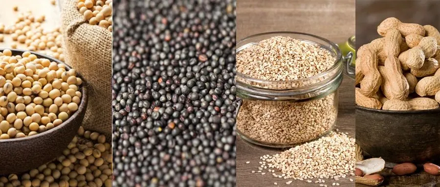 從油料作物說(shuō)起，古代吃油的C位之爭