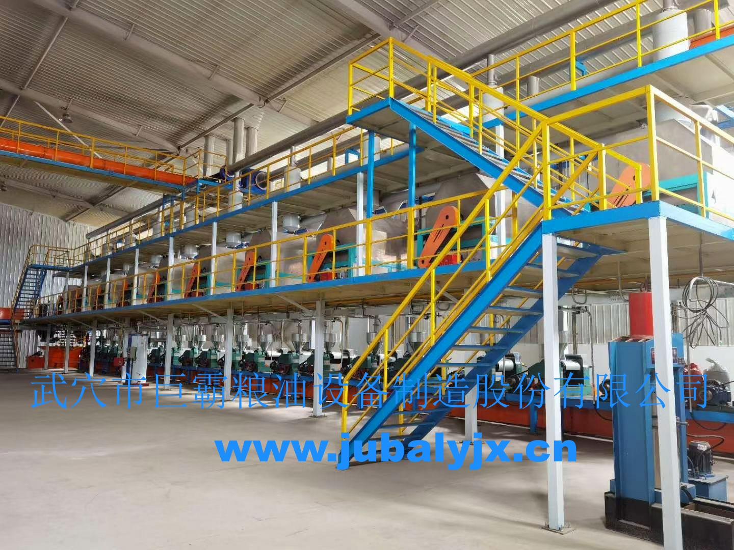 不同種植區域雙低品種濃香菜籽油的呈香特征