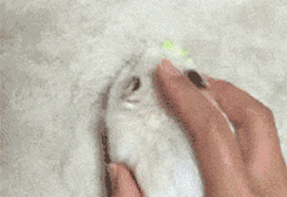 鼠標為什么要放在鼠標墊上才好用？